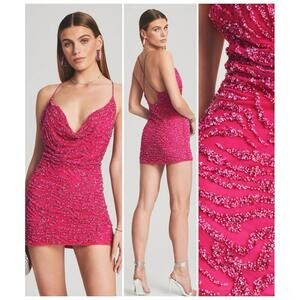 NWT $545 Mich Dress Fuchsia Rose Pink Tiger Stripe Sequin Beaded Mini Medium